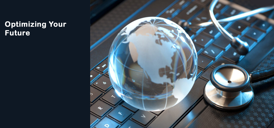 SEO Consultant